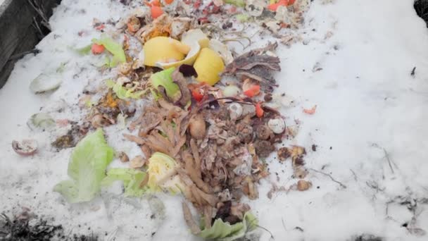 Компостна купа зі свіжими харчовими відходами взимку — стокове відео