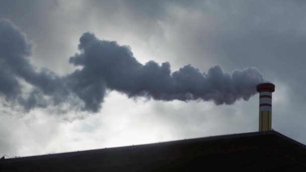 Branco vapor denso sai do tubo contra o fundo do céu nublado — Vídeo de Stock