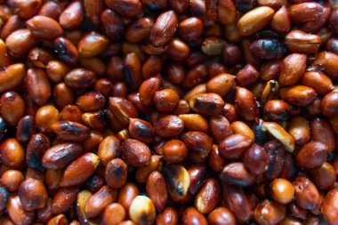 Yakın planda kavrulmuş fıstık.