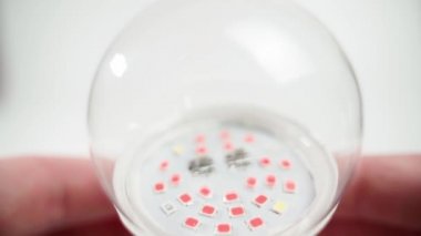 Bitkiler için yakın plan LED phytolamp. Daha iyi bitki büyümesi için ampul