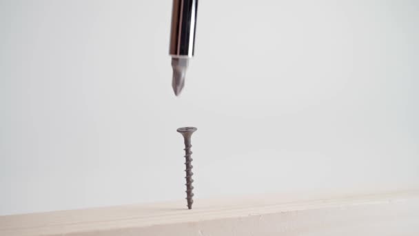 Tentando enroscar um parafuso preto em um feixe de madeira com uma chave de fenda close-up — Vídeo de Stock