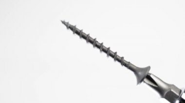 Siyah kendi kendine dokunan vida, bir tornavida için bir Phillips bit mıknatıslı yakın plan, beyaz arkaplan