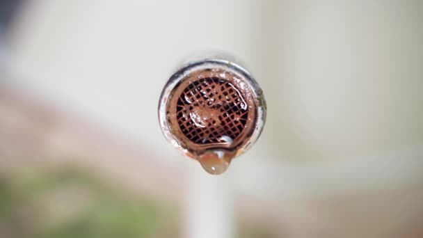 A drop of water falls from the aerator on the faucet close-up. The aerator mesh is covered with corrosion and plaque — ストック動画