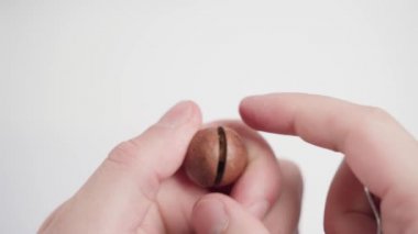 Beyaz arka planda Macadamia cevizini yakından bombalamak. Kurutulmuş Macadamia fıstığı.
