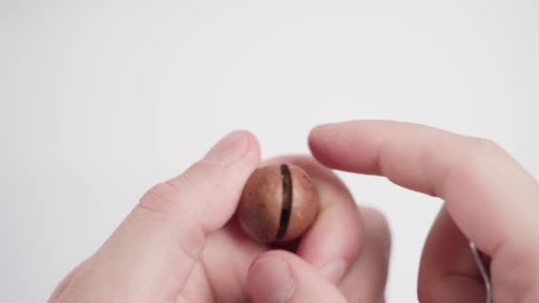Shelling macadamia nut close-up on a white background. Dried macadamia nut — Vídeo de stock