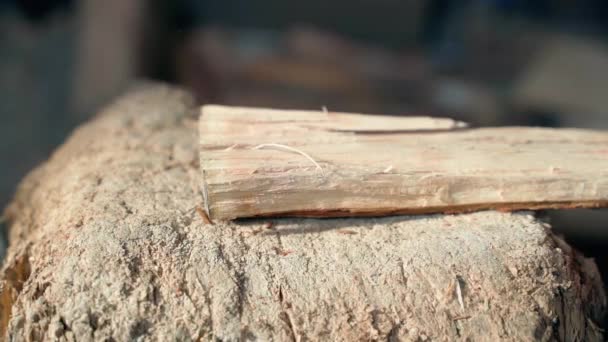 Close-up of splitting wood into small chips to start a fire — Video