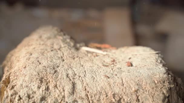 Nahaufnahme des Aufspaltens von Holz in kleine Späne, um ein Feuer zu entfachen — Stockvideo