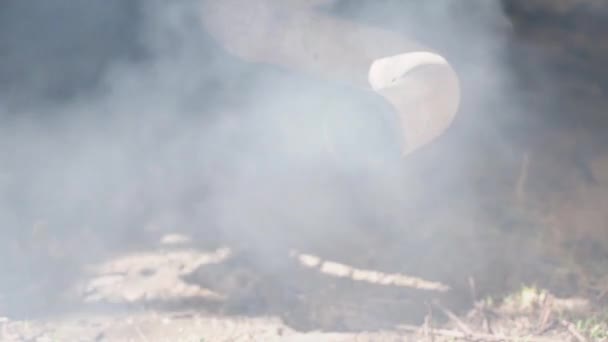 Smoke from the exhaust pipe of an old car with a diesel engine close-up. — Vídeo de stock