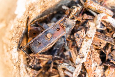 Yakın çekimde bulunan çeşitli paslı metal parçaları.