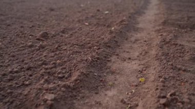 Bahçedeki ayak basılmış patika boyunca kameranın hareketi. Baharın başında ev bahçesinde temiz yataklar. Boş sebze bahçesi