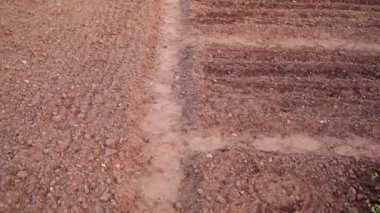 Sabahın erken saatlerinde gün doğumunda bahçe yataklarını düzgünce düzenledim. Bahçede güzel adımlar, kamera hareketleri.