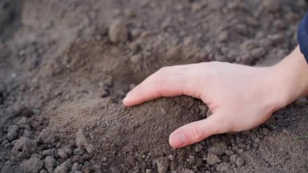 Uma mão verifica o solo para a umidade close-up. Análise do estado da terra na primavera antes da estação. Viscosidade e textura do chernozem — Vídeo de Stock