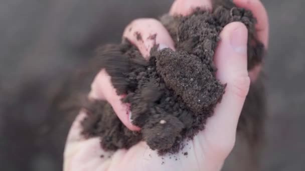 Sprawdzanie Gleby Pod Kątem Wilgotności Wiosnę Ręcznie Analiza Tekstury Gleby — Wideo stockowe