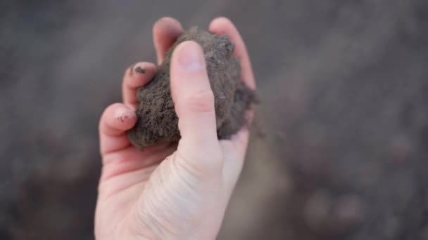 手は黒い地球の近くの土から胸を研削します 黒い土の塊が手で砕かれる 春に土壌の質感や状態を確認します 高品質4K映像 — ストック動画