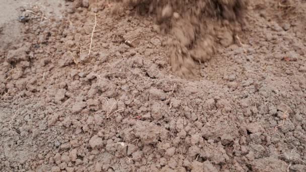 Ağır Çekimde Toprağı Kürekle Sürüp Gevşetiyor Toprak Ekme Hazırlığı Toprak — Stok video