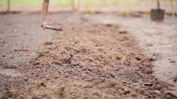 春には熊手で庭のベッドに土の塊を分割します 植え付けのための庭の土の準備 高品質のフルHd映像 — ストック動画