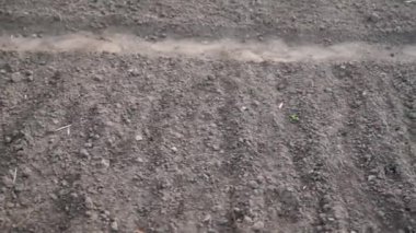 Bahçedeki patikaların arasına basılmış, güzelce dekore edilmiş yataklar. Yüksek kaliteli FullHD görüntüler