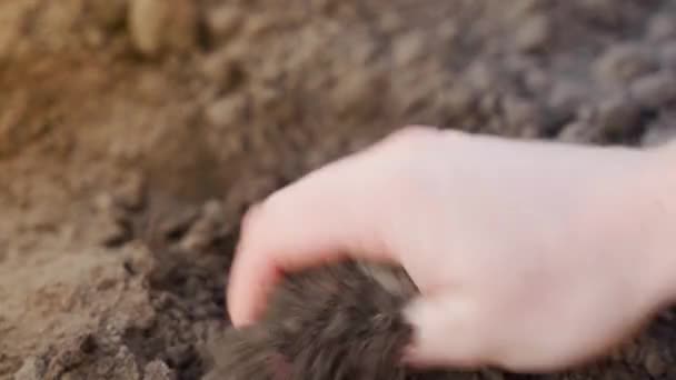 Die Hand Reibt Weiche Lockere Erde Aus Nächster Nähe Der — Stockvideo