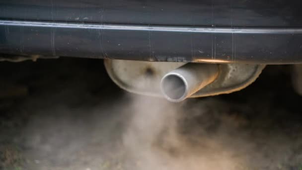 Humo Blanco Del Tubo Escape Coche Sin Calefacción Primer Plano — Vídeo de stock