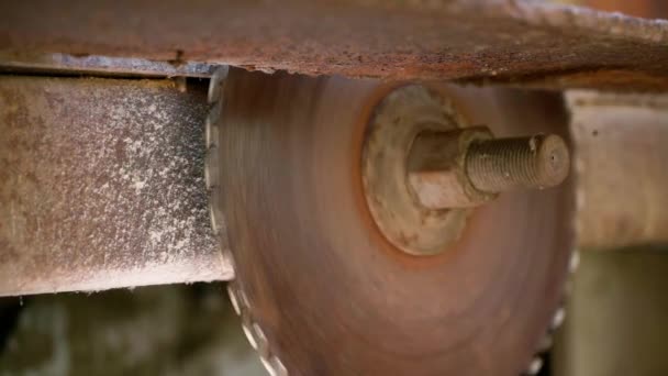 Stopping Large Vintage Rusty Circular Saw Circle Slow Motion High — Stock Video