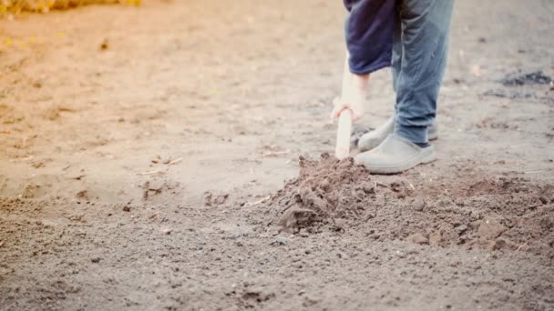 男人用铲子挖菜园的特写 高质量的4K镜头 — 图库视频影像