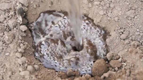 Een Waterstraal Vult Een Depressie Grond Van Dichtbij Het Voorbereiden — Stockvideo