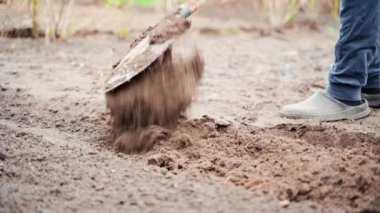 Bahçede mevsimlik bahar işleri. Bir kürekle ıslak toprağı kazıp çıkarmak. Yüksek kalite 4k görüntü