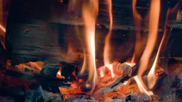Close Burning Firewood Relaxing Beautiful Atmospheric Fire High Quality Footage — 图库视频影像