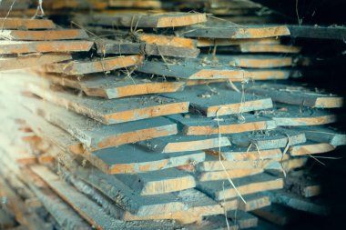 Meşe kalaslarını yakın çekim için terk edilmiş bir depo. Haşerelerden etkilenen odun