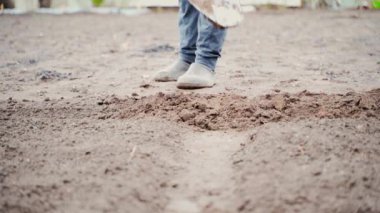 Yakından kürekle sebze bahçesi yataklarını kazıp çıkarmak. Yüksek kalite 4k görüntü