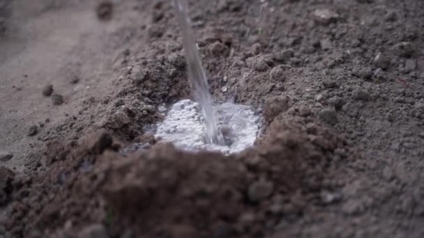 Agua Vierte Una Depresión Suelo Primer Plano Cama Del Jardín — Vídeos de Stock