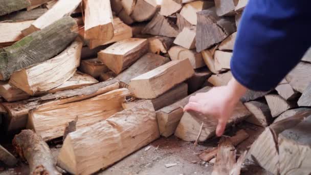Hand Young Man Takes Firewood Warehouse Close High Quality Footage — Vídeos de Stock