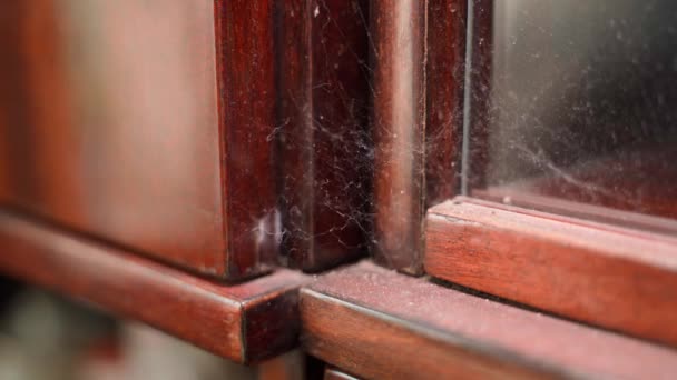 Old Forgotten Wooden Sideboard Covered Spider Webs Web Sways Wind — Stockvideo