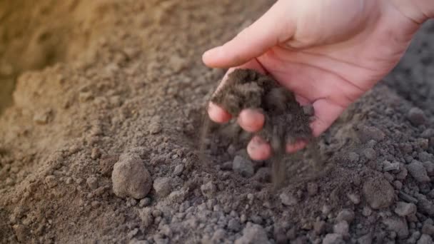 Hand Young Guy Crushes Soil Palm His Hand Close Dawn — Vídeos de Stock