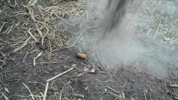 Ashes Poured Compost Heap Close High Quality Footage — Stok video