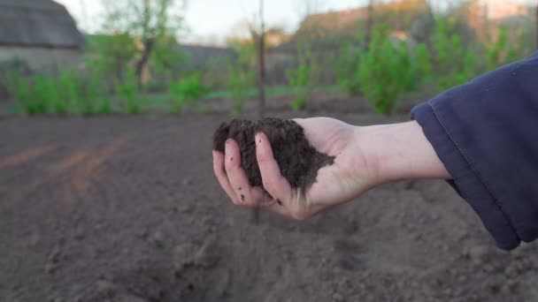 Hand Holds Palm Full Fertile Soil Backdrop Empty Vegetable Garden — Stock videók