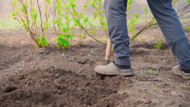 Young Guy Engaged His Hobby Garden Early Morning Digging Soil — Vídeo de stock