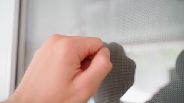Hand Knocks Opaque Glass Door Insistently Close Slow Motion Unwanted — Vídeo de Stock