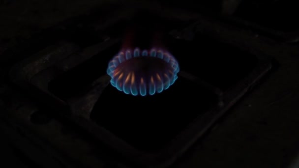 Blue Fuel Burns Gas Burner Bright Blue Fire Background Police — Video Stock