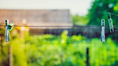 Spider web on clothespins. Colored blurred background