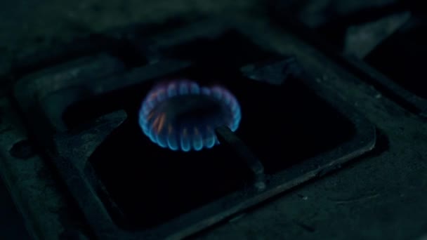 Gas Burns Background Red Alarm Blue Flame Burns Gas Burner — Vídeo de Stock