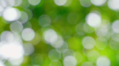 Beautiful green background with shimmering highlights. Blurred summer abstract background. Relaxing wallpapers. High quality 4k footage