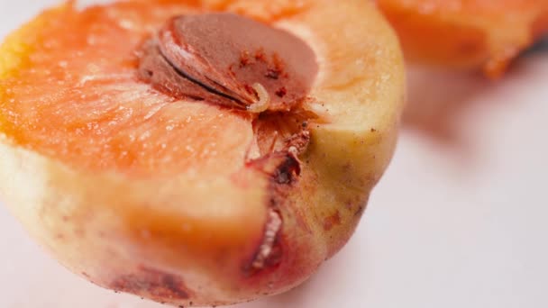 Worm Crawls Apricot Close Fruit Pests Eat Pulp Juicy Orange — Stok video