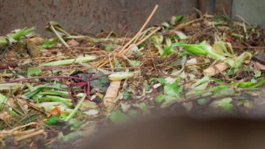 Compost heap with a lot of organic waste and biodegradable human waste products. smooth camera movement. Processing and recycling of natural resources. Manufacture of homemade soil fertilizer. High