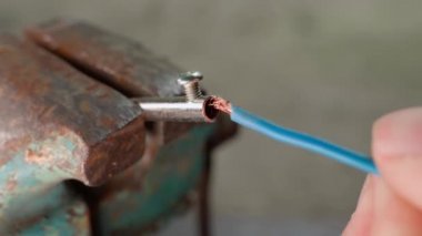 The hand inserts a copper wire in a blue braid inserts into the contact of the plug in clamps with a screw using a Phillips screwdriver. Connecting the blue wire of an electrical appliance close-up