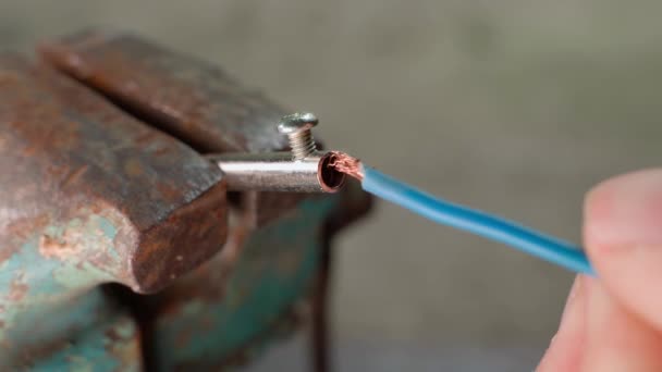 Hand Inserts Copper Wire Blue Braid Inserts Contact Plug Clamps — 图库视频影像