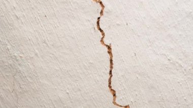 Kırsal kesimde eski bir evin beyaz tavanında uzun bir çatlak. Kamera kil duvardaki bir çatlak boyunca hareket ediyor. Konutun hızla yok edilmesi ve bütünlük kaybı. Depremden sonra
