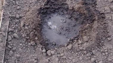 Pembe bir salatalık tohumu sırılsıklam suyla bir deliğe atılır ve yakın plan toprak serpiştirilir. Sebze bahçesine sebze ekme mevsimi. Yataklara özen gösterin. Yüksek