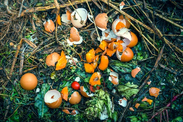 Egg shells and other organic human waste on a compost heap. Secondary rational use of food waste for processing into fertilizer for garden beds.