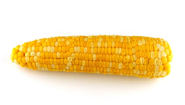 Голова Вареної Кукурудзи Ізольована — стокове фото